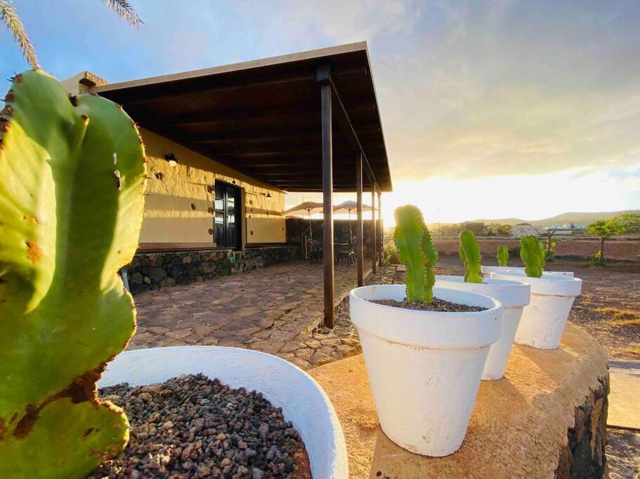Erbania Heritage, Naturally Puerto del Rosario  Exterior photo